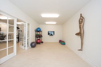 Yoga/pilate room